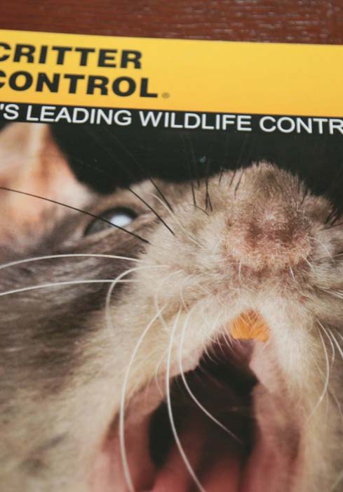 Critter Control Brochur